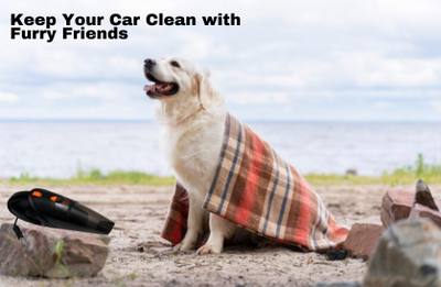 Dog Hair Remover for Car: A Must-Have for a Fur-Free Ride